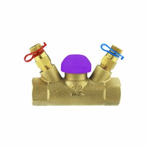 Thermostatische regelafsluiter  TS-99-V binnendraad
